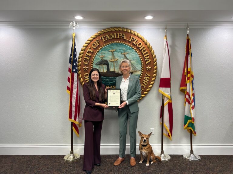 WhatsApp Image 2025-10-31 at 4.02.14 PM