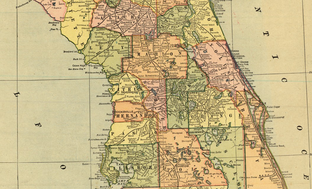 Immagine 2026-02-20 133612