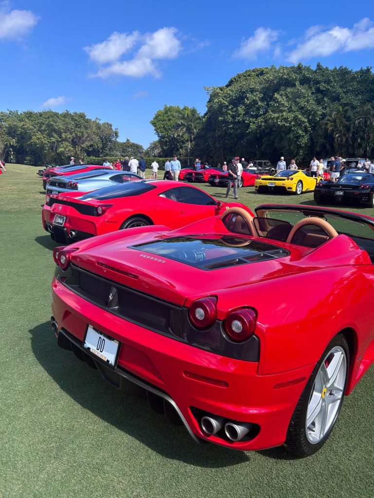 WhatsApp Image 2026-02-17 at 15.38.09 (1)