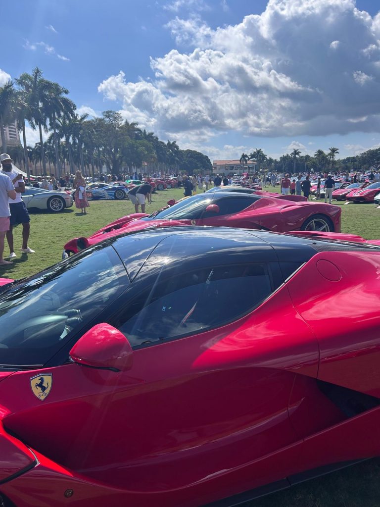 WhatsApp Image 2026-02-17 at 15.38.10