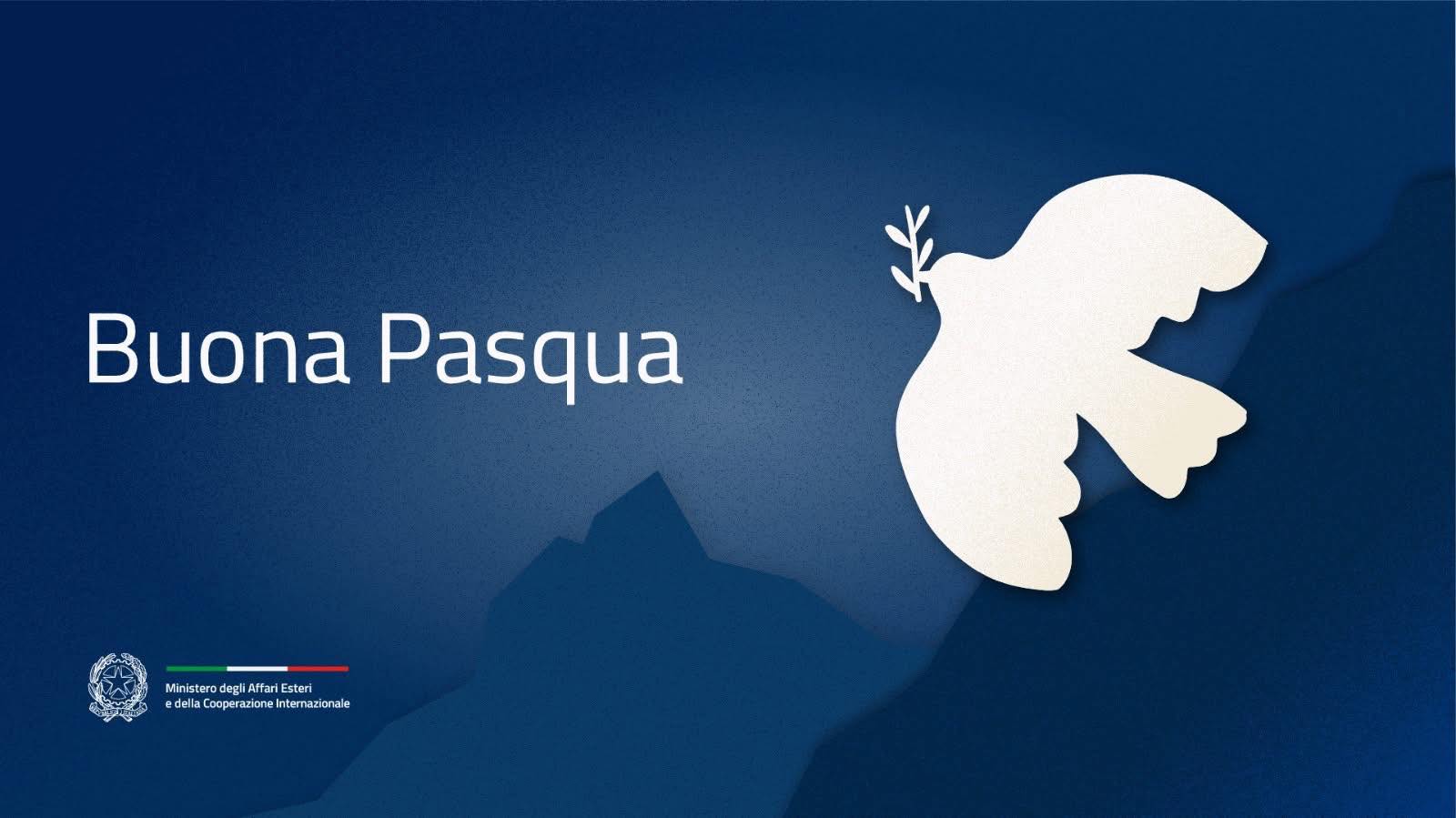 661459210_1383528510471786_4368334734458495841_n